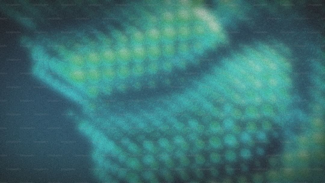 2025精英童模超级联赛亲善大使许若琳 荣获礼衣赛冠军